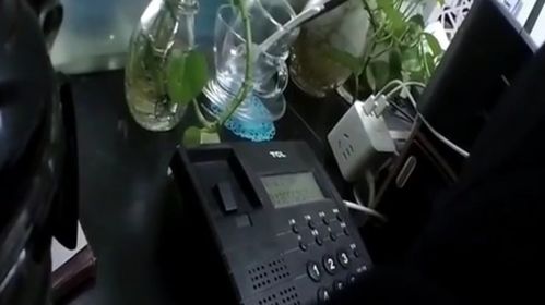 万通汽车站电话多少(万通汽车站电话多少，一站式查询与出行指南)