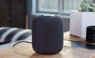 音箱电脑华为能用吗怎么用(华为音箱与电脑的完美融合，使用指南及体验分享)