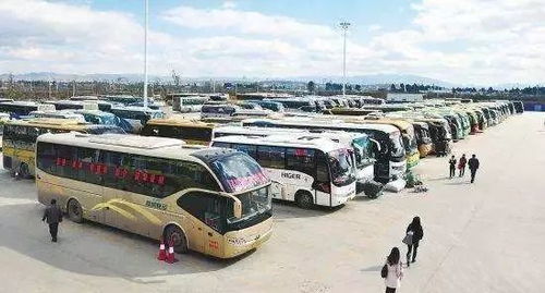 横州汽车客运站电话多少(横州汽车客运站电话及出行服务详解)