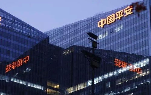 汽车个性气门嘴多少钱(汽车个性气门嘴价格解析)