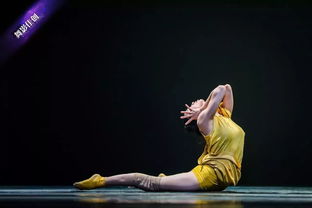 32岁抗癌博主离世 20天前还笑着跳舞(生命的舞蹈与告别，一位抗癌博主的离去)