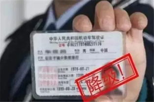 祁东到重庆汽车票多少钱(祁东到重庆汽车票价详解)