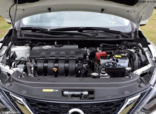 新轩逸汽车大灯泡多少钱(新轩逸汽车大灯泡价格解析)