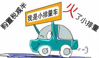 豫见李小忆买汽车多少钱(豫见李小忆，汽车购买成本与决策之旅)