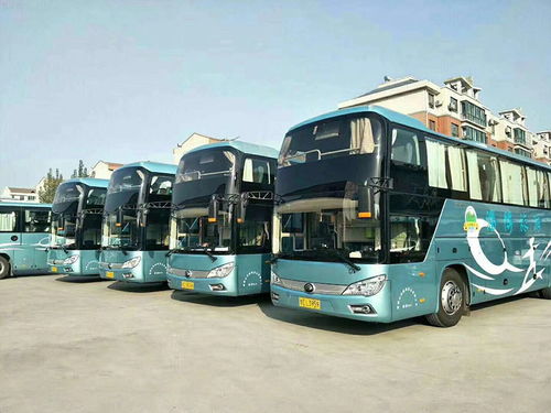 济南市中汽车租赁多少钱(济南市中汽车租赁价格详解)