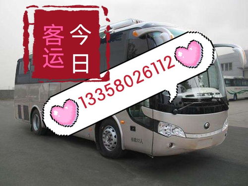 大竹到广安汽车票多少钱(大竹到广安汽车票价详解,费用、路线与乘车建议) 大竹到广安汽车票多少钱(大竹到广安汽车票价详解,费用、路线与乘车建议)