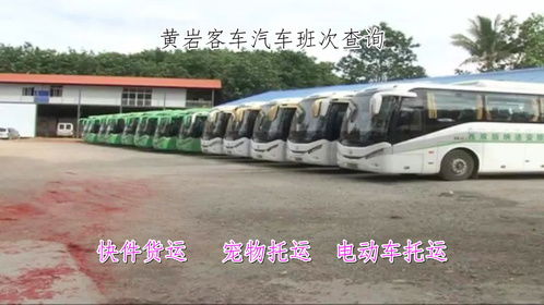 普定到六枝汽车多少时间(普定到六枝，汽车行程的时间与体验)