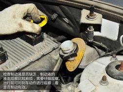 汽车转向油一次换多少瓶(汽车转向油更换指南，一次需要换多少瓶转向油？