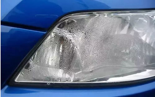 汽车车头上有多少个灯泡(汽车车头灯泡数量解析)