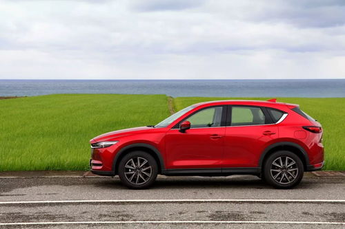 汽车要补多少次漆才能开(汽车补漆次数与驾驶问题探讨) 汽车要补多少次漆才能开(汽车补漆次数与驾驶问题探讨)