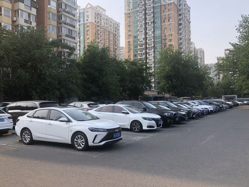 文山租赁汽车多少钱一辆(文山租赁汽车价格概览，多少钱一辆？