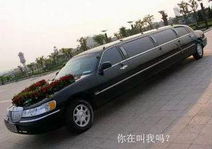 文山租赁汽车多少钱一辆(文山租赁汽车价格概览，多少钱一辆？