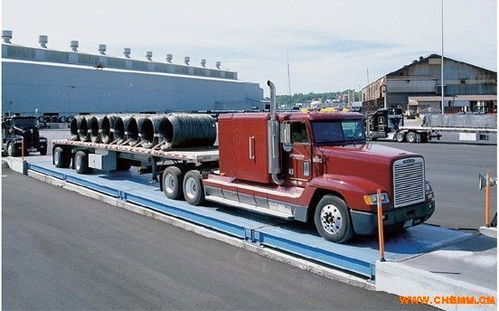 信阳电子汽车衡价格多少(信阳电子汽车衡价格解析)