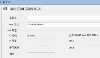 华为怎么删电脑获取的dhcp(华为电脑如何删除获取的DHCP信息)