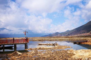 凯里到草海汽车票多少钱(凯里到草海汽车票价查询) 凯里到草海汽车票多少钱(凯里到草海汽车票价查询)