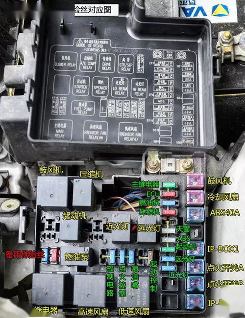长安汽车保险丝多少钱(长安汽车保险丝的价格解析)