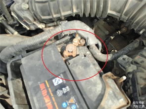 汽车灯泡更换电阻多少钱(汽车灯泡更换电阻的费用解析) 汽车灯泡更换电阻多少钱(汽车灯泡更换电阻的费用解析)