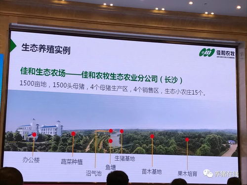 电脑怎么装华为生态桌面(华为生态桌面安装指南，从零开始，轻松上手电脑桌面新体验)