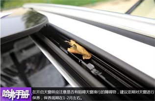 汽车天窗一年能开多少次(汽车天窗的使用频率，一年能开多少次？