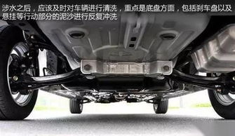 汽车底盘保险多少钱合适(汽车底盘保险费用解析，多少钱合适？