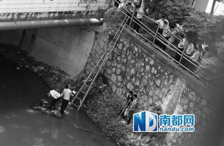 深圳一河道惊现大量成扎钞票(深圳一河道惊现大量成扎钞票，神秘事件引发社会热议)