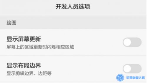 华为电脑怎么设置开发者(华为电脑设置开发者模式的详细步骤)