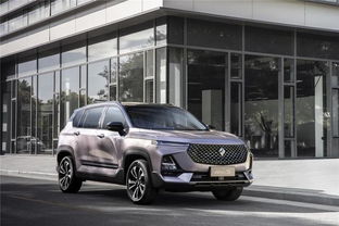 一台小汽车有多少L汽油(探究一台小汽车所需的汽油量—揭秘多少L汽油支撑它前行)