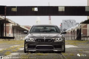 一辆汽车能装多少只猫子(一辆汽车能装多少只猫子) 一辆汽车能装多少只猫子(一辆汽车能装多少只猫子)