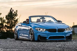 一辆汽车能装多少只猫子(一辆汽车能装多少只猫子) 一辆汽车能装多少只猫子(一辆汽车能装多少只猫子)