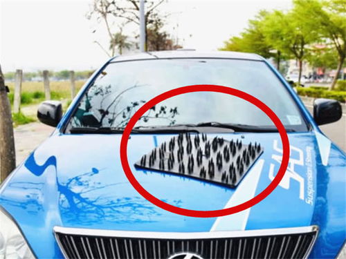 汽车加钢板多少钱一个(汽车加钢板价格解析，多少钱一个？