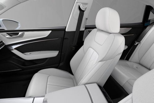 汽车车门前置扶手多少钱(汽车车门前置扶手价格解析，多少钱？