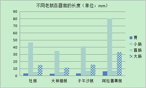 汽车模拟题有多少道题(汽车模拟题题库规模与出题策略探讨)