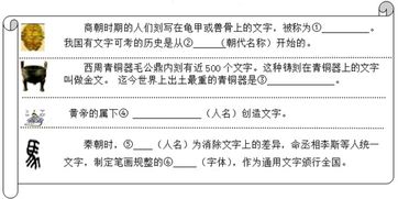 汽车模拟题有多少道题(汽车模拟题题库规模与出题策略探讨)