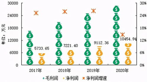 汽车资讯平台年收入多少(汽车资讯平台年收入解析，多元化盈利模式与增长趋势)