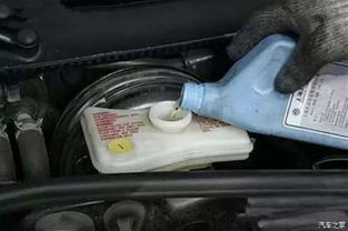 领动汽车冷却液多少钱(领动汽车冷却液价格解析，品质与价值并重)