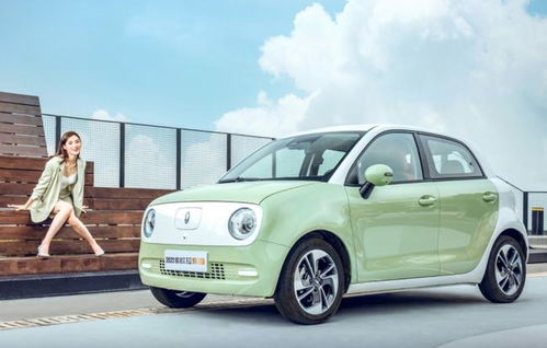 都都电动汽车多少钱两门(都都电动汽车价格解析，两门车型究竟多少钱？