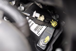 检测汽车水箱多少钱一台(汽车水箱检测费用及其相关成本分析)