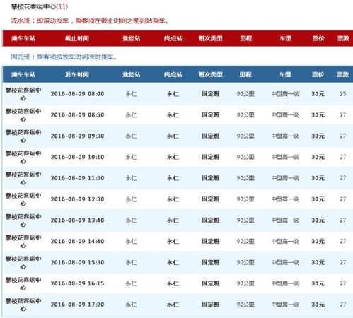 资阳至攀枝花汽车票多少(资阳至攀枝花汽车票价查询与旅行体验分享)