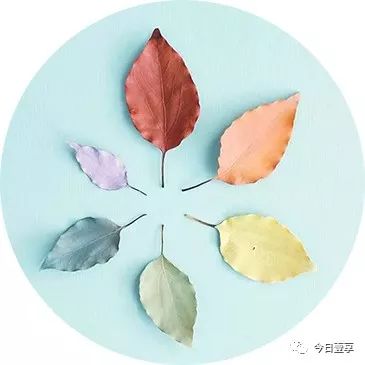 华为电脑画头像怎么弄(华为电脑画头像的详细步骤与技巧) 华为电脑画头像怎么弄(华为电脑画头像的详细步骤与技巧)