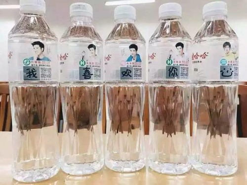 汽车装标多少钱一瓶(汽车装标价格解析，一瓶装标费用是多少？