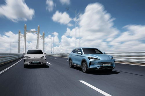 一个羊头的汽车多少钱(羊头汽车价格揭秘，价值究竟几何？