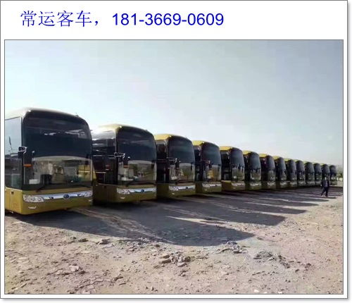 兴文至大坝汽车票多少钱(兴文至大坝汽车票价查询)