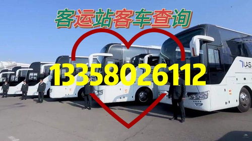 兴文至大坝汽车票多少钱(兴文至大坝汽车票价查询)