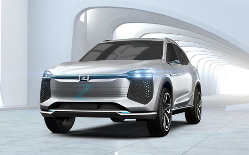 众泰汽车反光板多少钱(众泰汽车反光板价格解析)