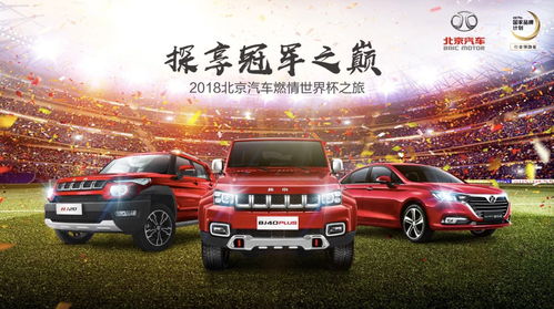 福鼎去福州汽车票多少钱(福鼎至福州汽车票价详解，费用、时间与选择)