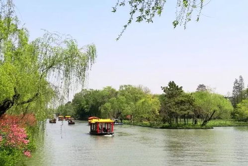 扬州瘦西湖已被苏超游客“占领”扬州瘦西湖，苏超游客的热情占领)