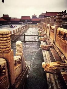 北京暴雨故宫再现千龙吐水(北京暴雨故宫重现千龙吐水—传统与现代的交融之美)