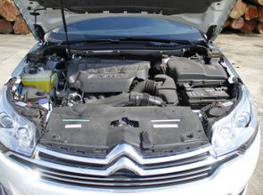 瑞安汽车底盘装甲多少钱(瑞安汽车底盘装甲价格解析)