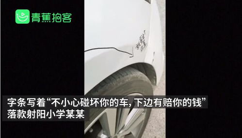 汽车被撞赔23元多少钱(汽车被撞赔偿金额解析，赔23元背后的真相)