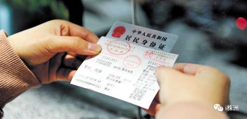 杭州回苍南汽车票多少钱(杭州至苍南汽车票价详解，探寻车票价格的背后)